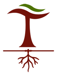 1-Logo T